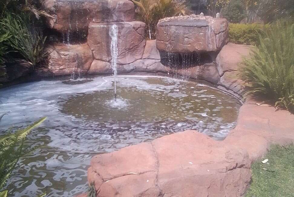Rock Pools & Rock Art